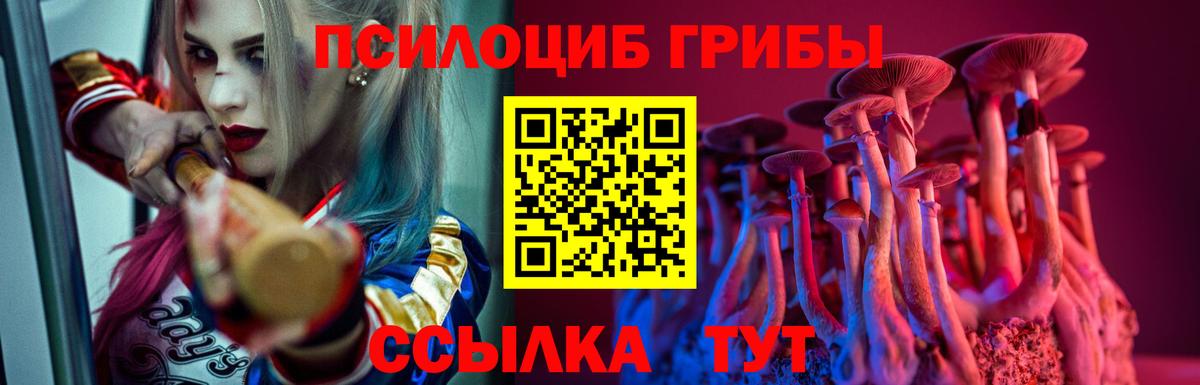 Псилоцибиновые грибы GOLDEN TEACHER  Галлюциногенные грибы Cubensis  Соликамск  Вход с VPN 